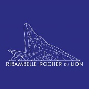 logo rocher du lion les scouts