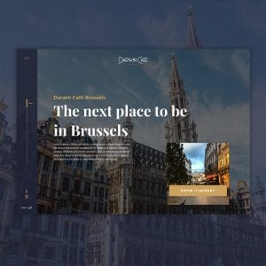 Darwin Café Bruxelles