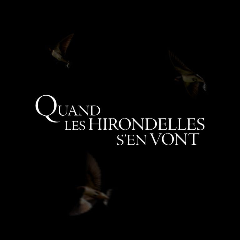 Affiche film les hirondelles s'en vont