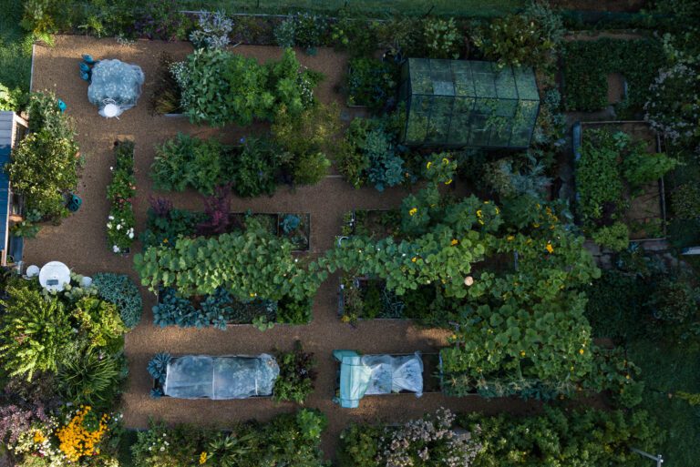 Potago coach potager permaculture